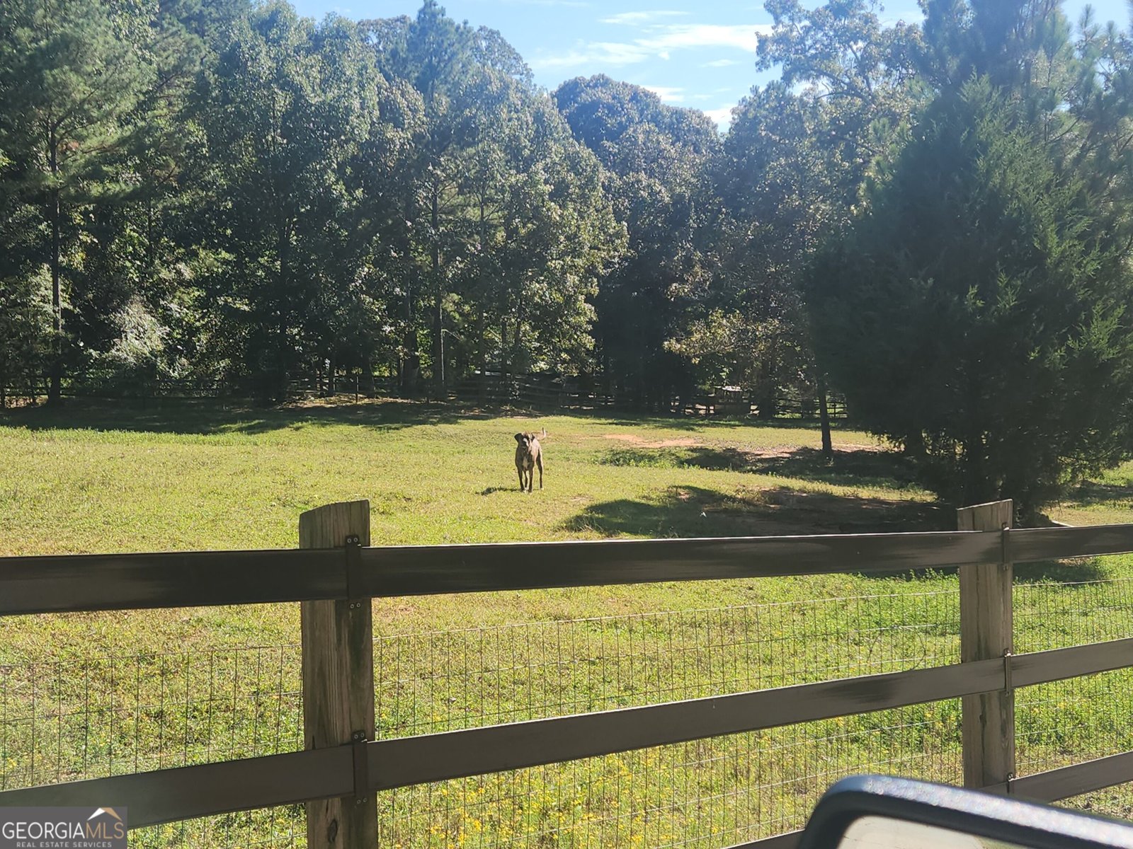 540 R James Road Loganville - Photo 27
