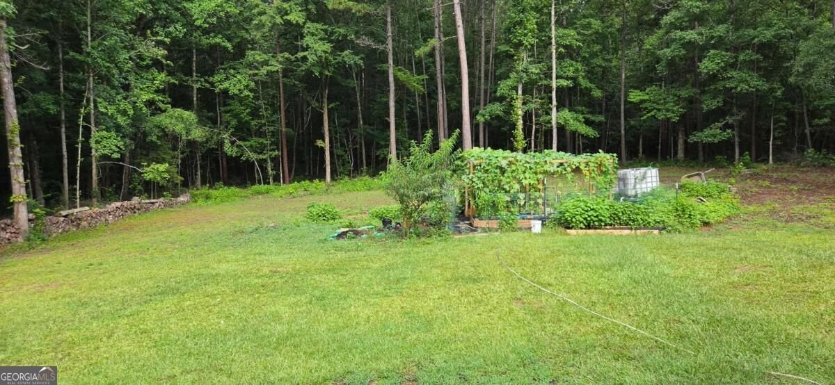 244 Timberline Road Jackson - Photo 39