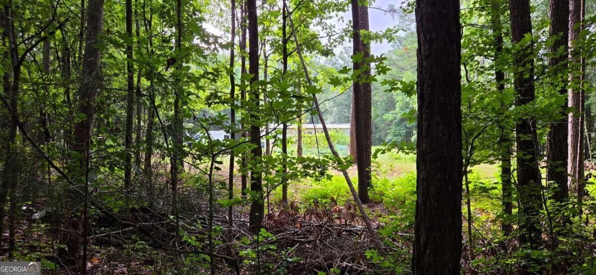 244 Timberline Road Jackson - Photo 42