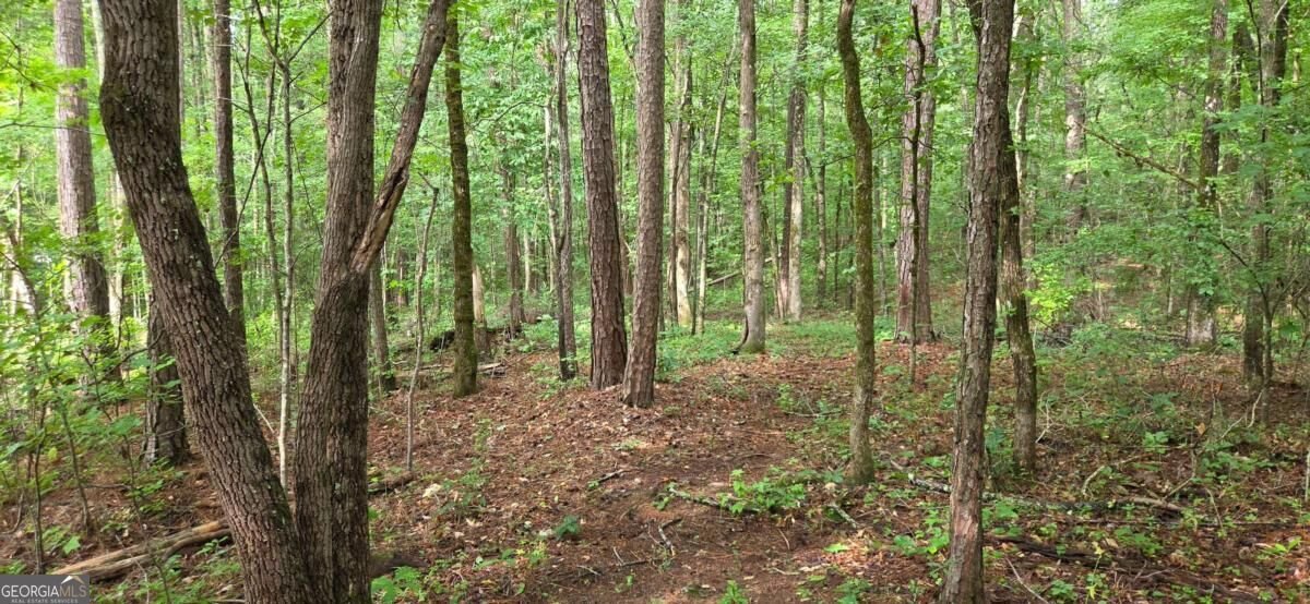 244 Timberline Road Jackson - Photo 43