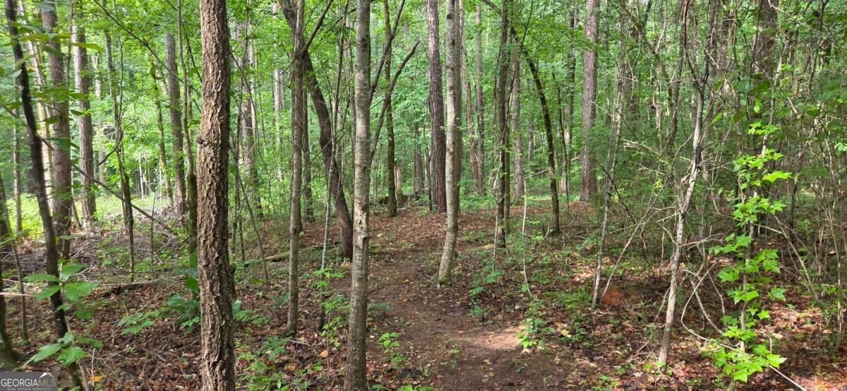 244 Timberline Road Jackson - Photo 44