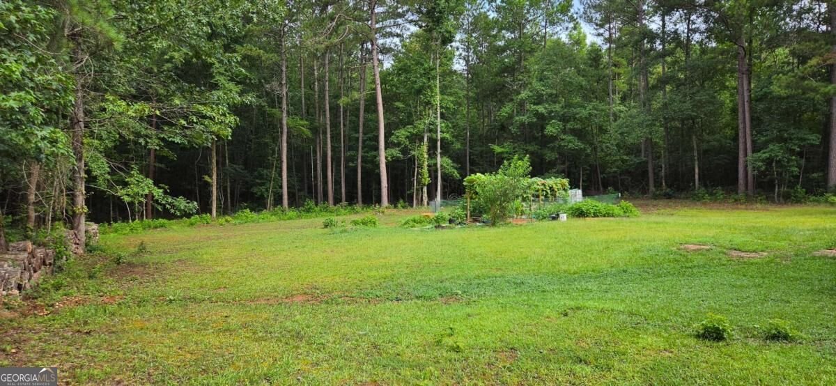 244 Timberline Road Jackson - Photo 46