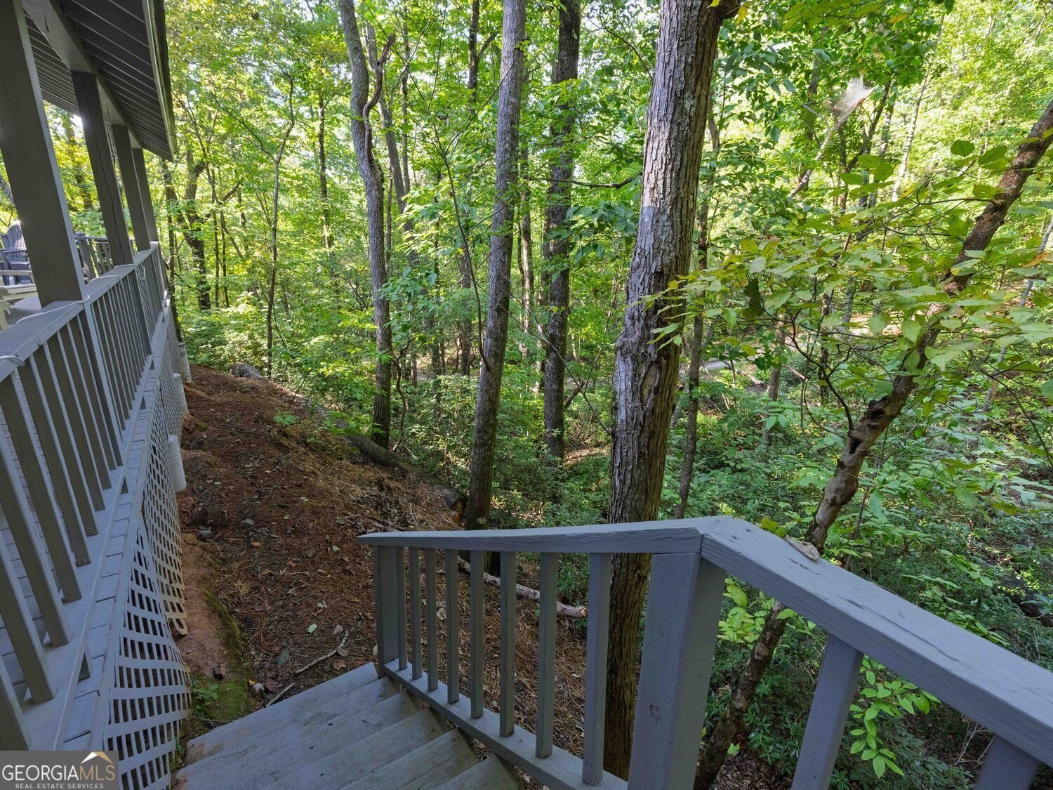 202 Crystal Hills Clarkesville - Photo 9