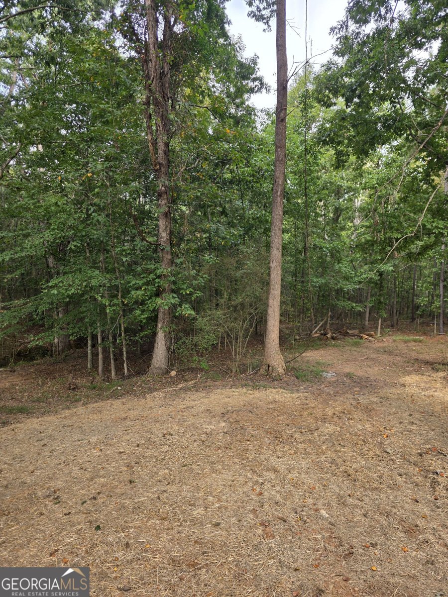 5025 Smokey Road Athens - Photo 19