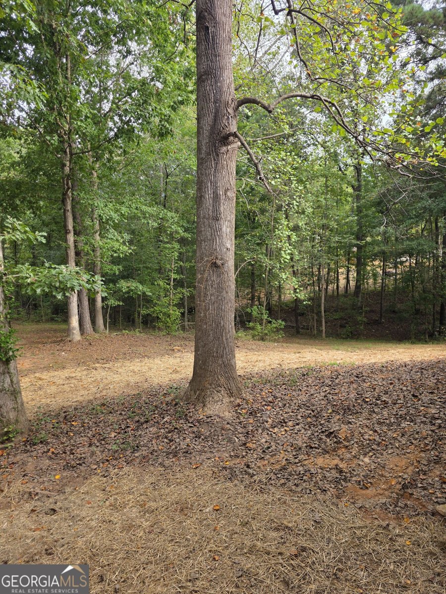 5025 Smokey Road Athens - Photo 20
