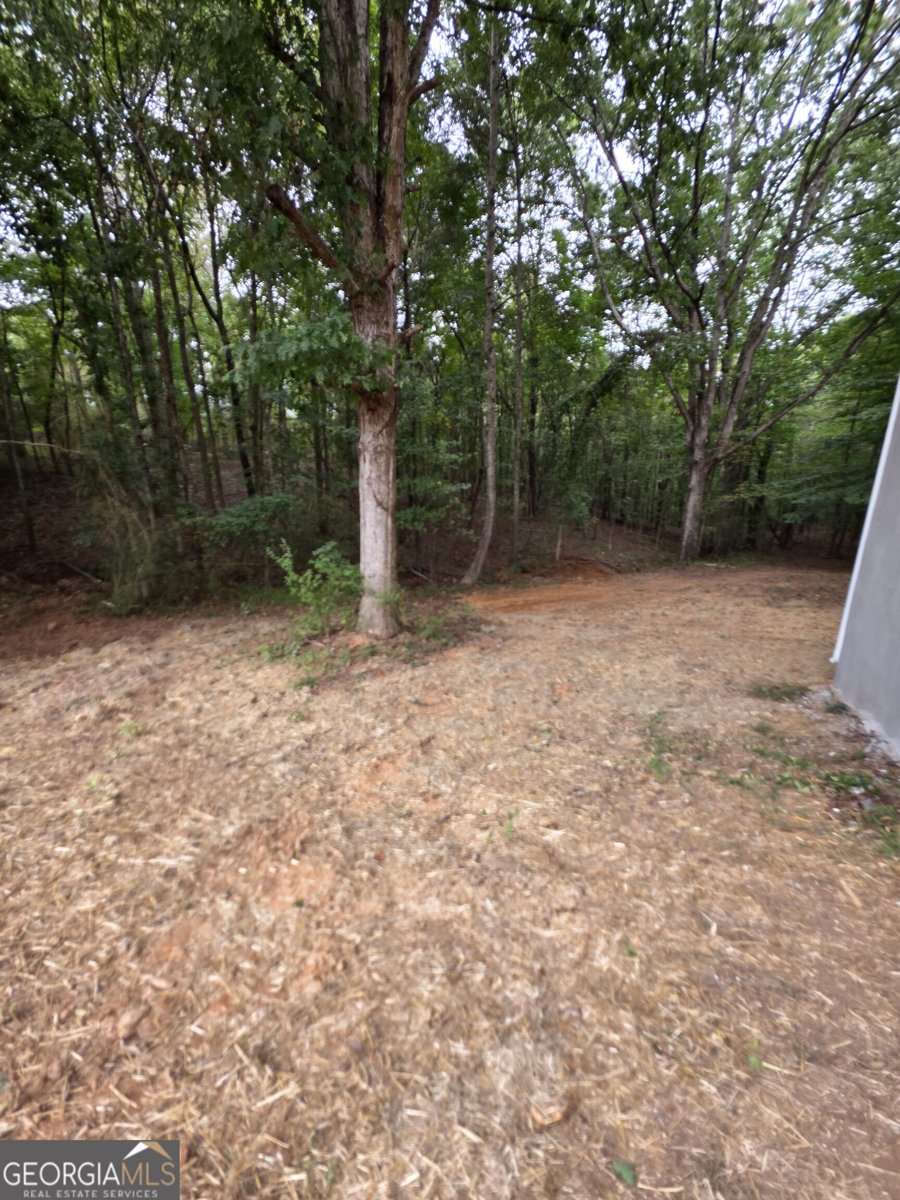 5025 Smokey Road Athens - Photo 21