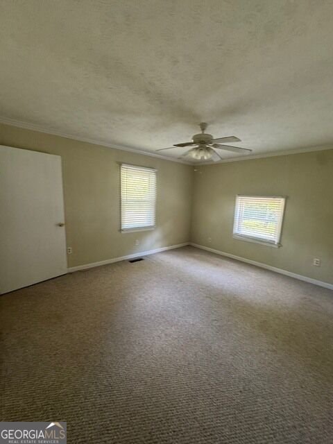 904 Eastside School Road Senoia - Photo 13