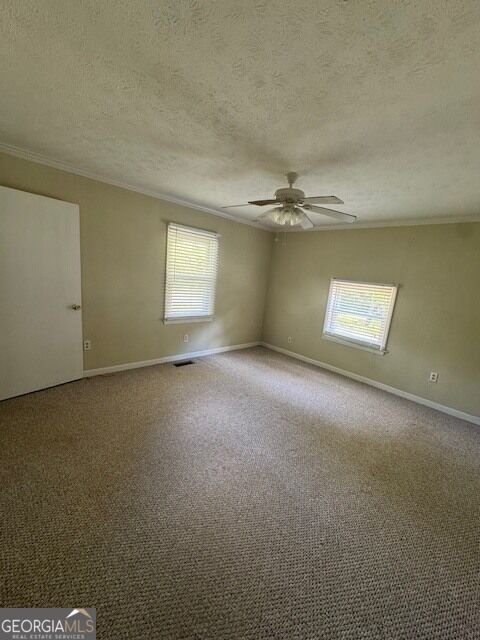 904 Eastside School Road Senoia - Photo 14