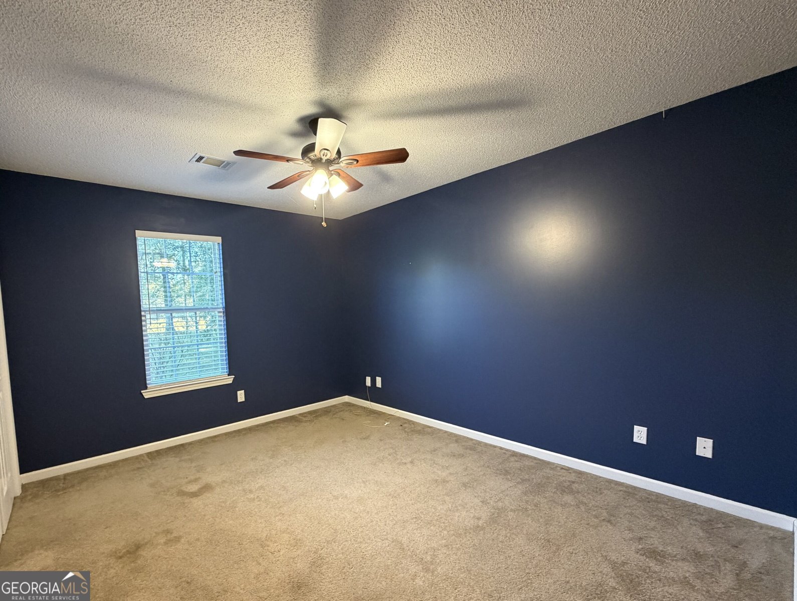 461 Columbus Highway Hawkinsville - Photo 16