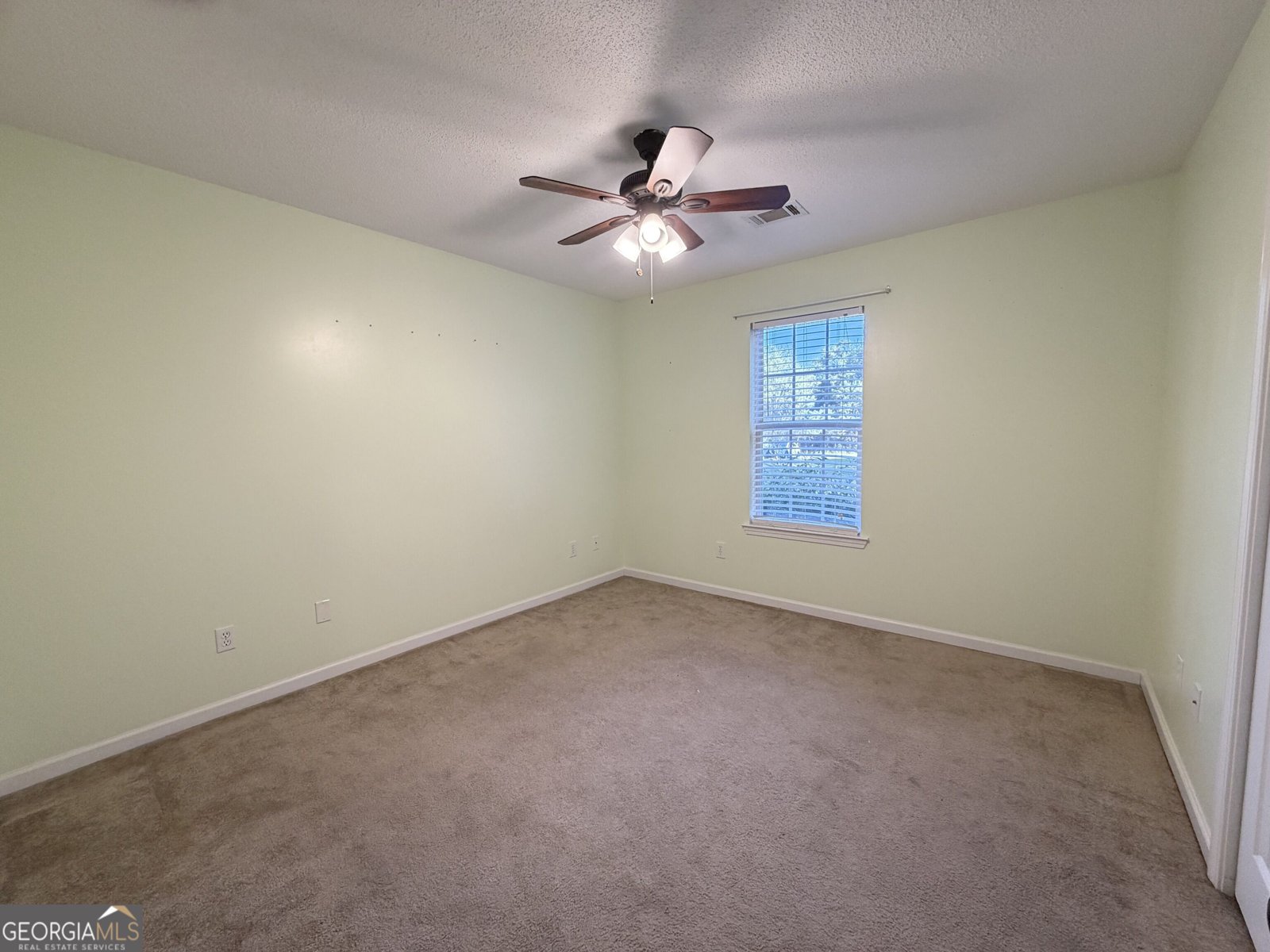 461 Columbus Highway Hawkinsville - Photo 19