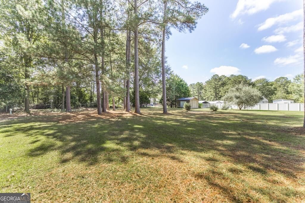461 Columbus Highway Hawkinsville - Photo 32
