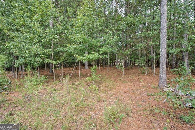 32 Meadow View Glen Newnan - Photo 45