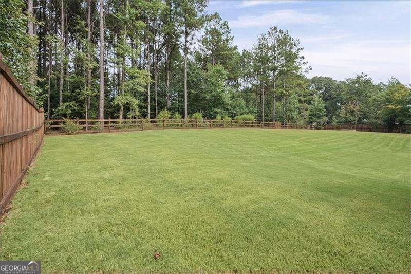 32 Meadow View Glen Newnan - Photo 46