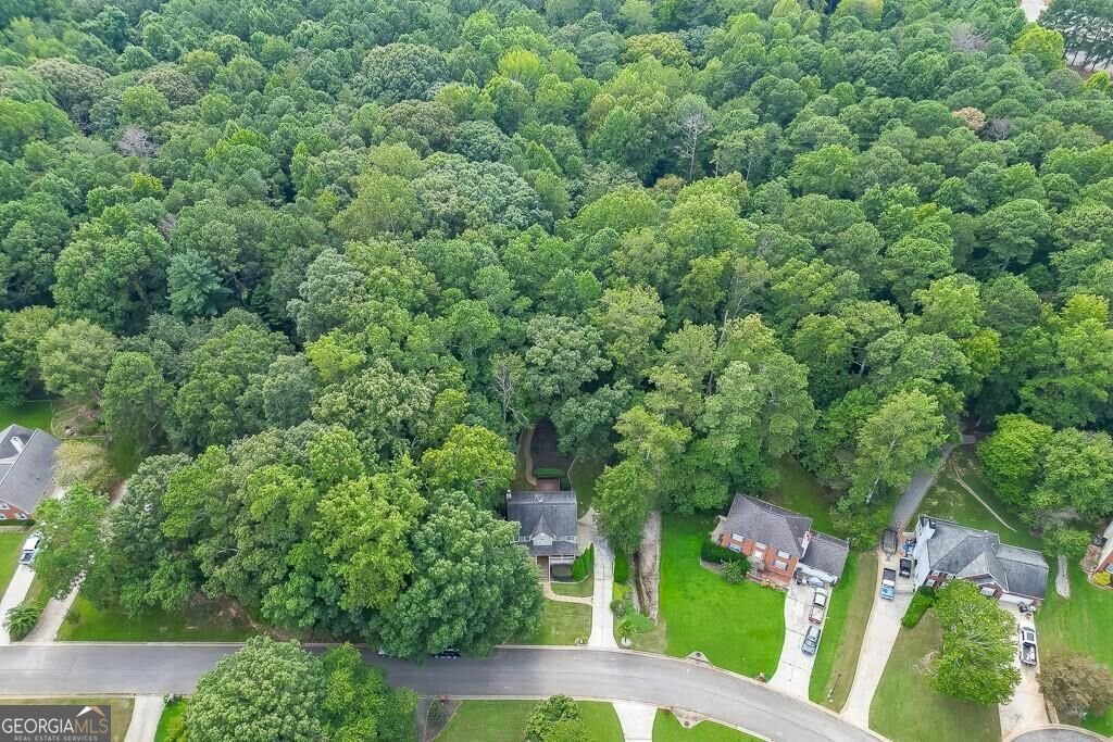 3420 Coles Creek Drive Buford - Photo 7