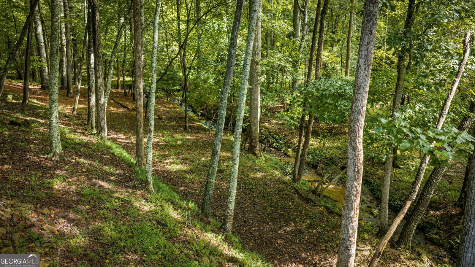 35 Wunder Bear Ridge Rd. Morganton - Photo 60