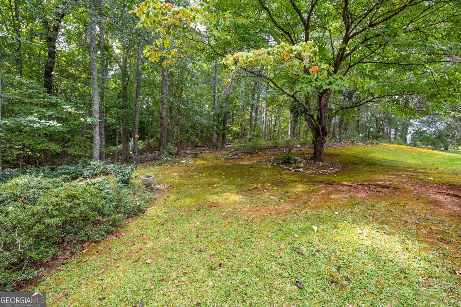 53 Maple Valley Drive Villa Rica - Photo 30
