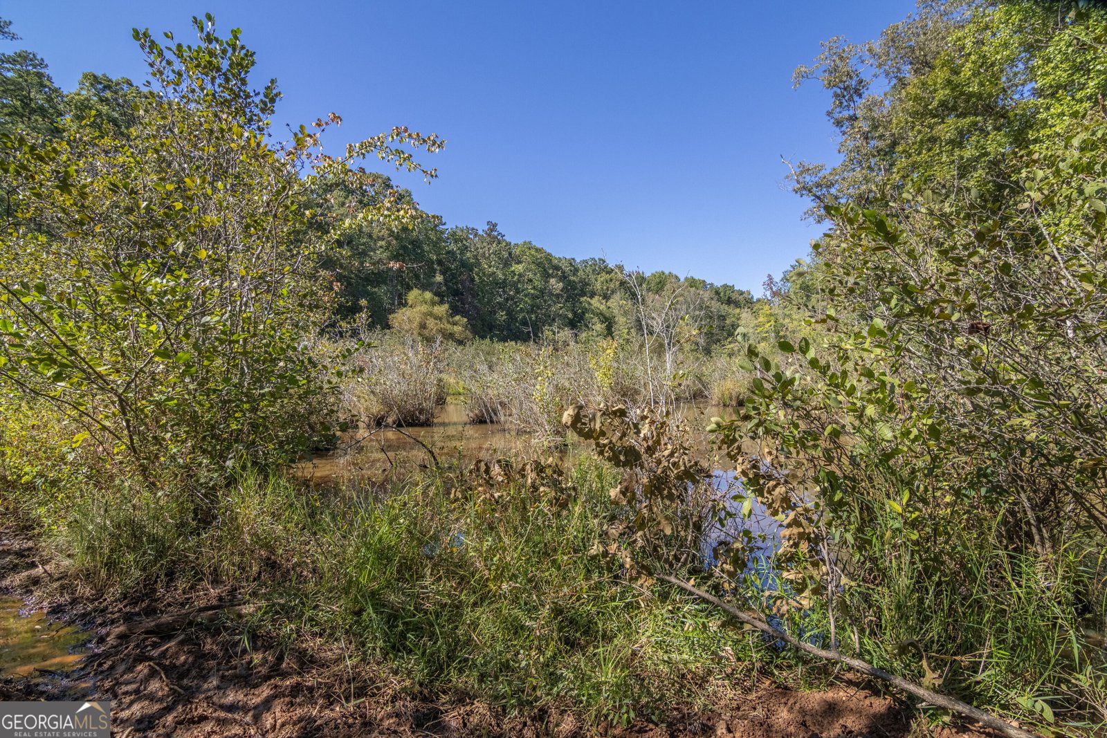 8995 Gullatt Road Palmetto - Photo 91