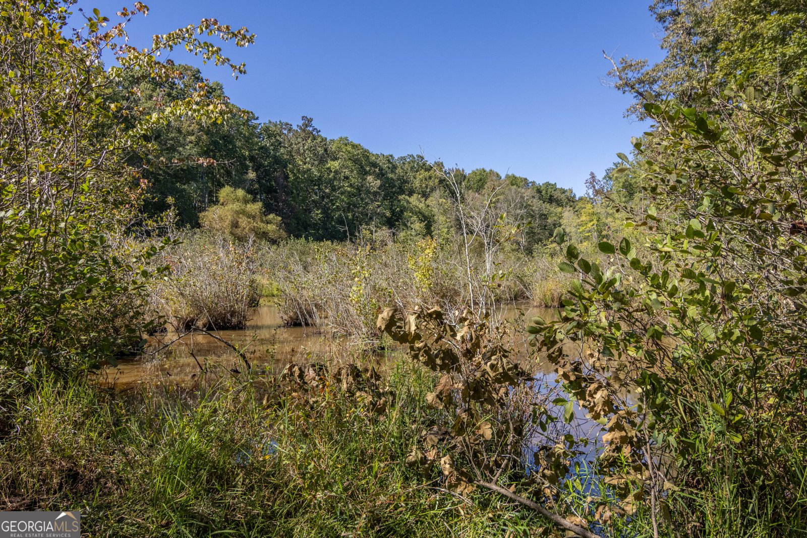 8995 Gullatt Road Palmetto - Photo 92