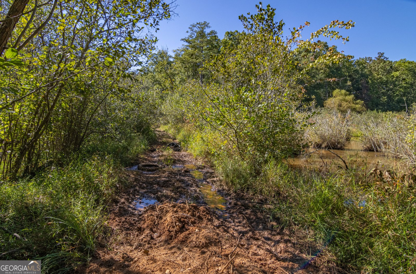 8995 Gullatt Road Palmetto - Photo 93
