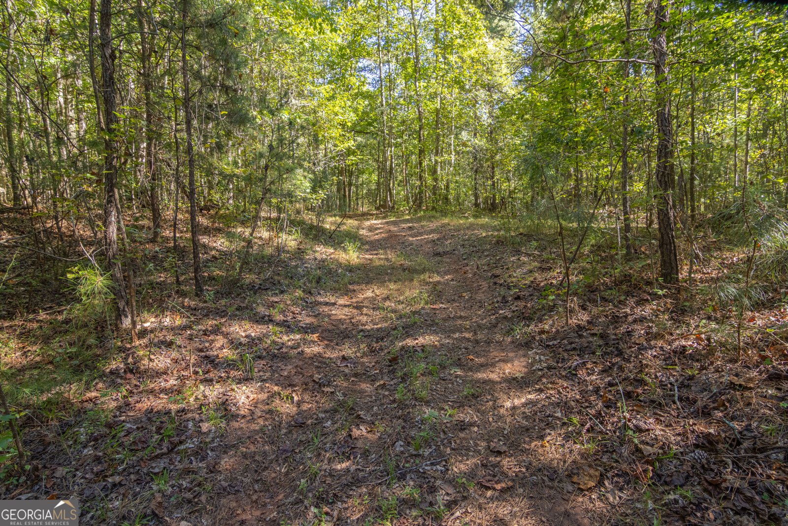 8995 Gullatt Road Palmetto - Photo 94