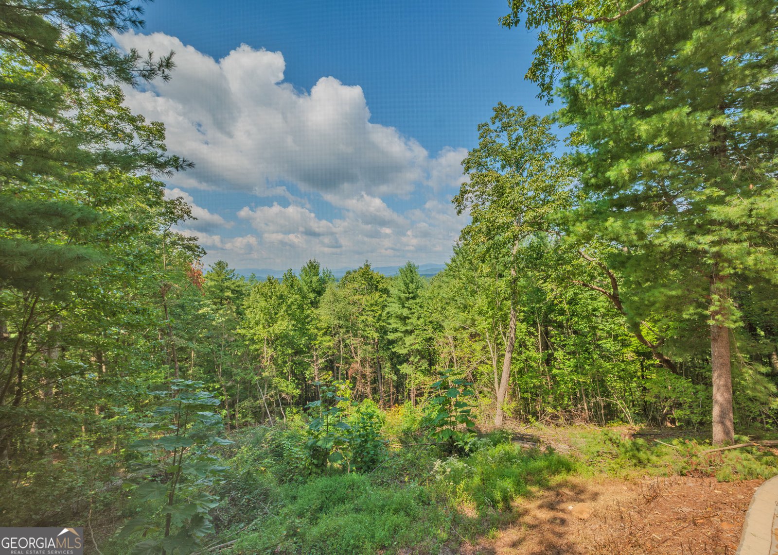 315 Skyview Circle Clarkesville - Photo 10