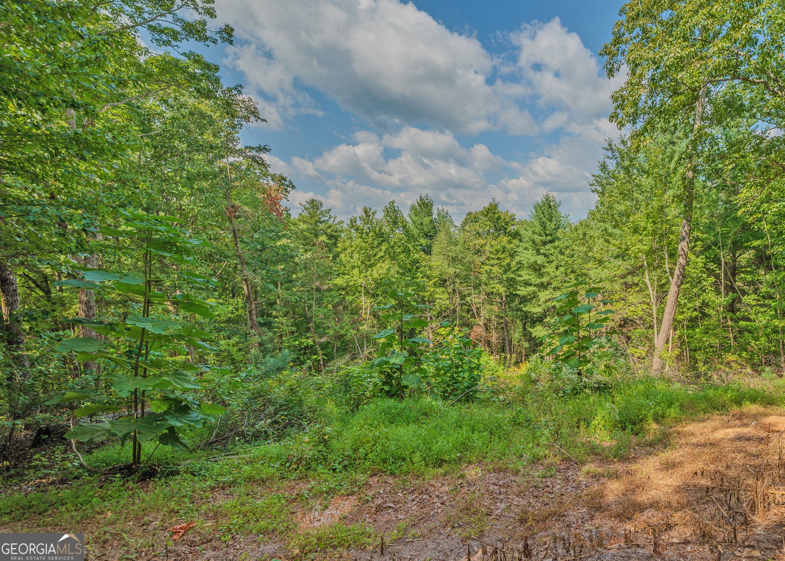 315 Skyview Circle Clarkesville - Photo 11