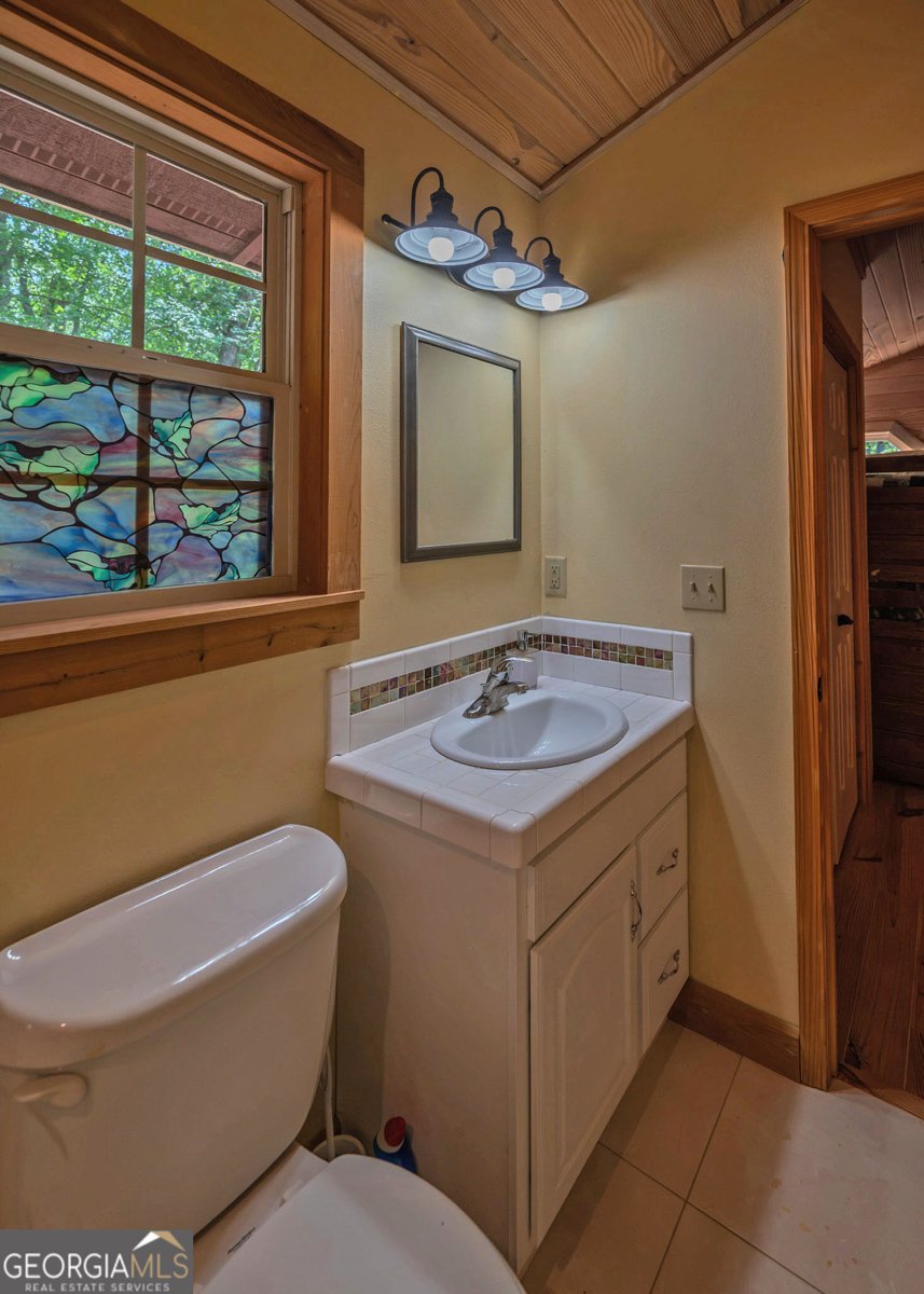 315 Skyview Circle Clarkesville - Photo 31