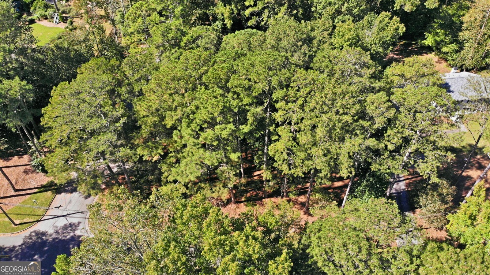 2949 Spalding Drive Sandy Springs - Photo 39