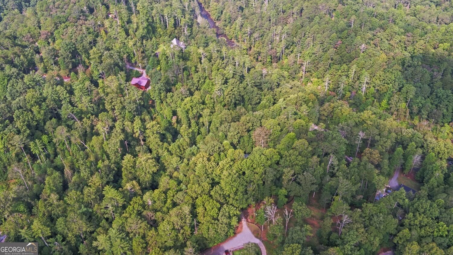 75 Farley Court Ellijay - Photo 61