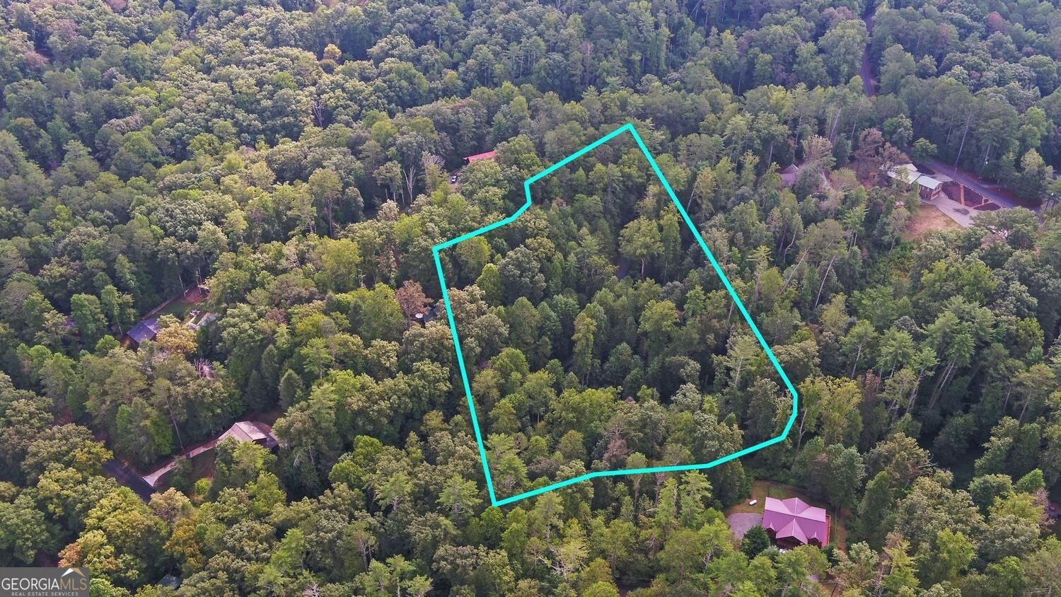 75 Farley Court Ellijay - Photo 62