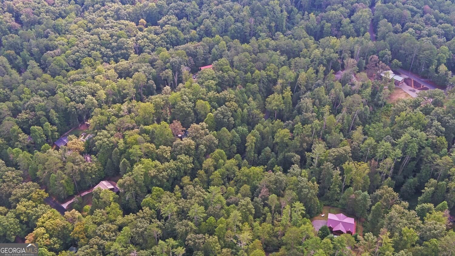 75 Farley Court Ellijay - Photo 63