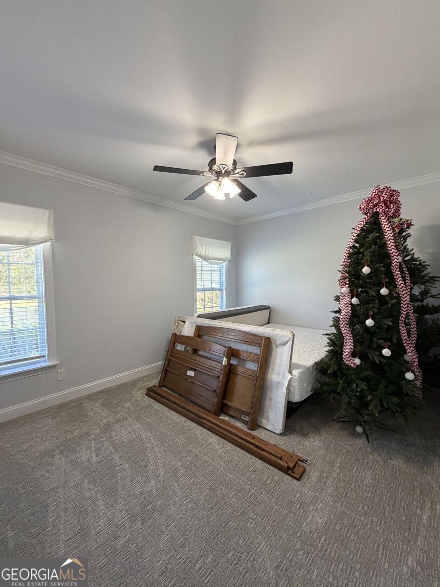231 Broad Meadows Road Dublin - Photo 38