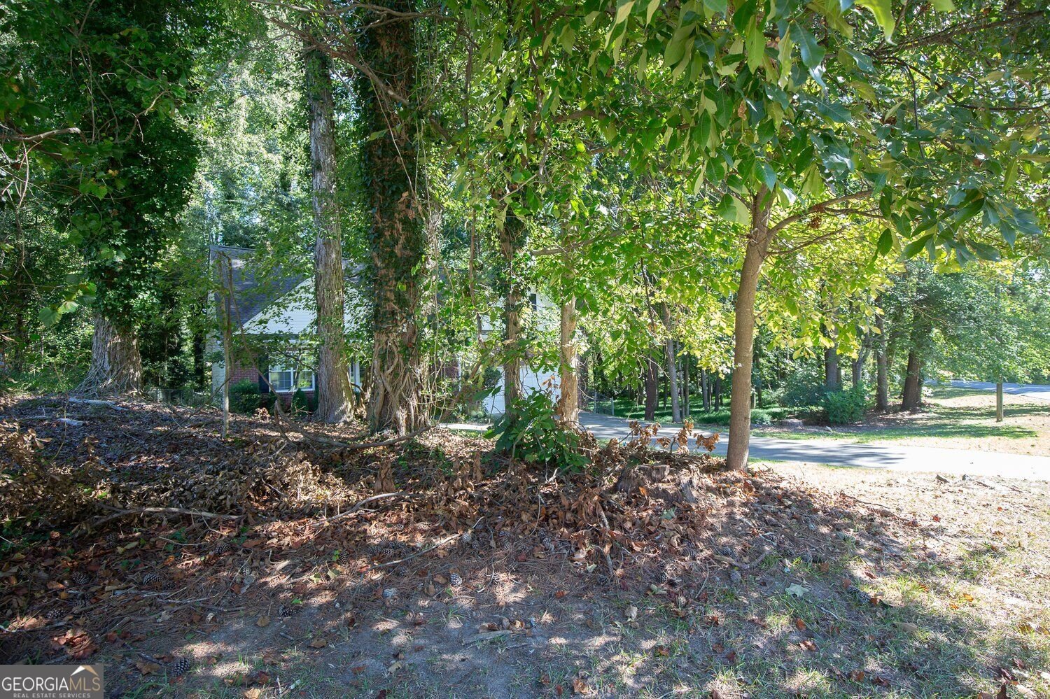 2584 Rockwood Way Stone Mountain - Photo 44