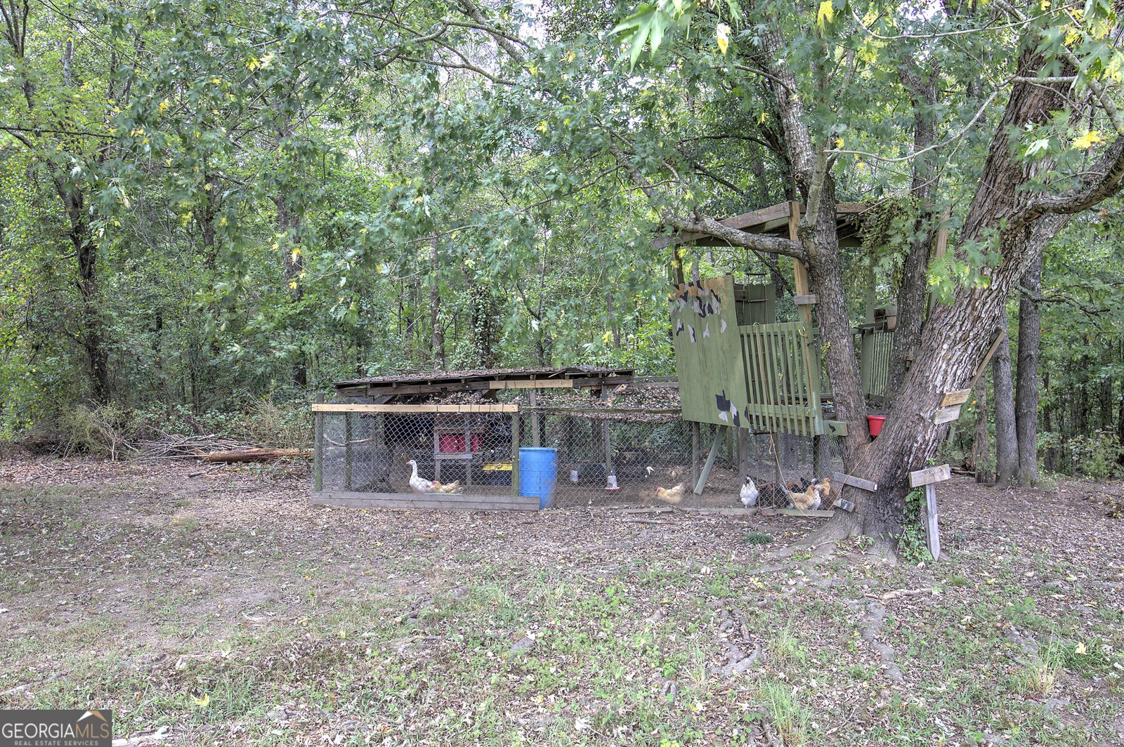 1328 Abrams Road Silver Creek - Photo 65
