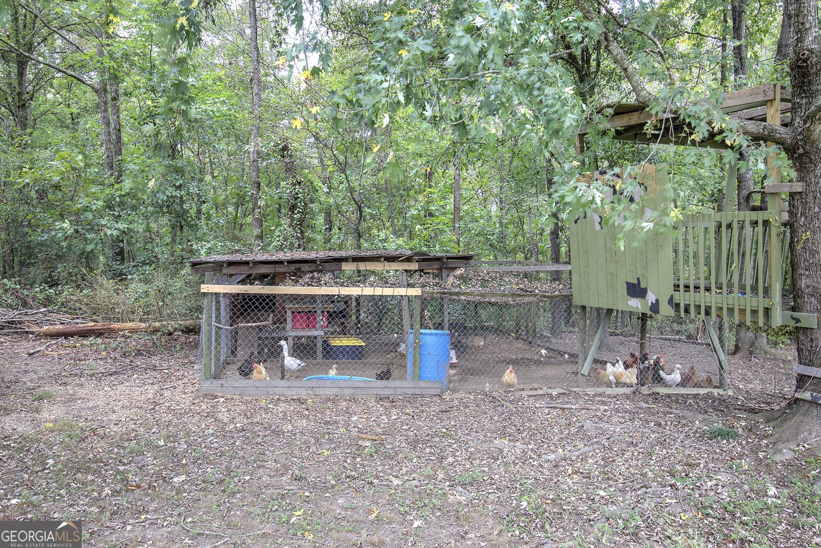 1328 Abrams Road Silver Creek - Photo 66