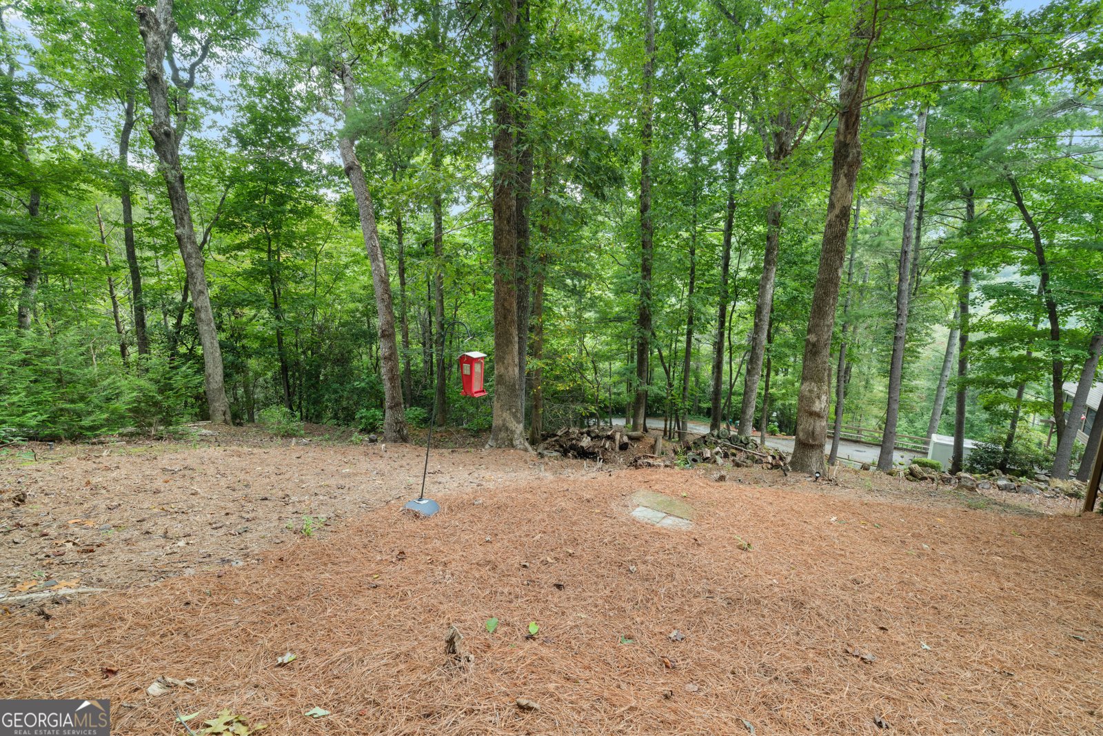 100 Bee Tree Run Clayton - Photo 38