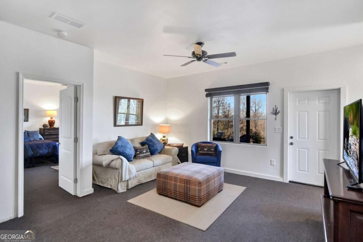 196 Grayson Point Blue Ridge - Photo 41