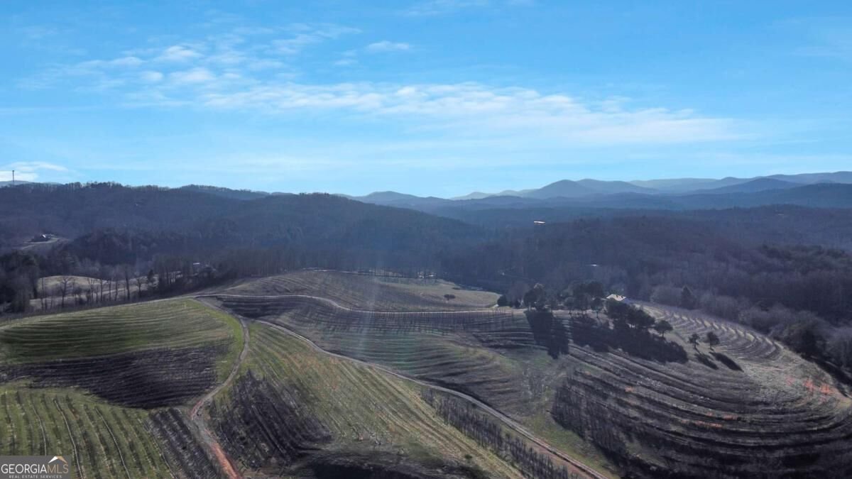 196 Grayson Point Blue Ridge - Photo 8