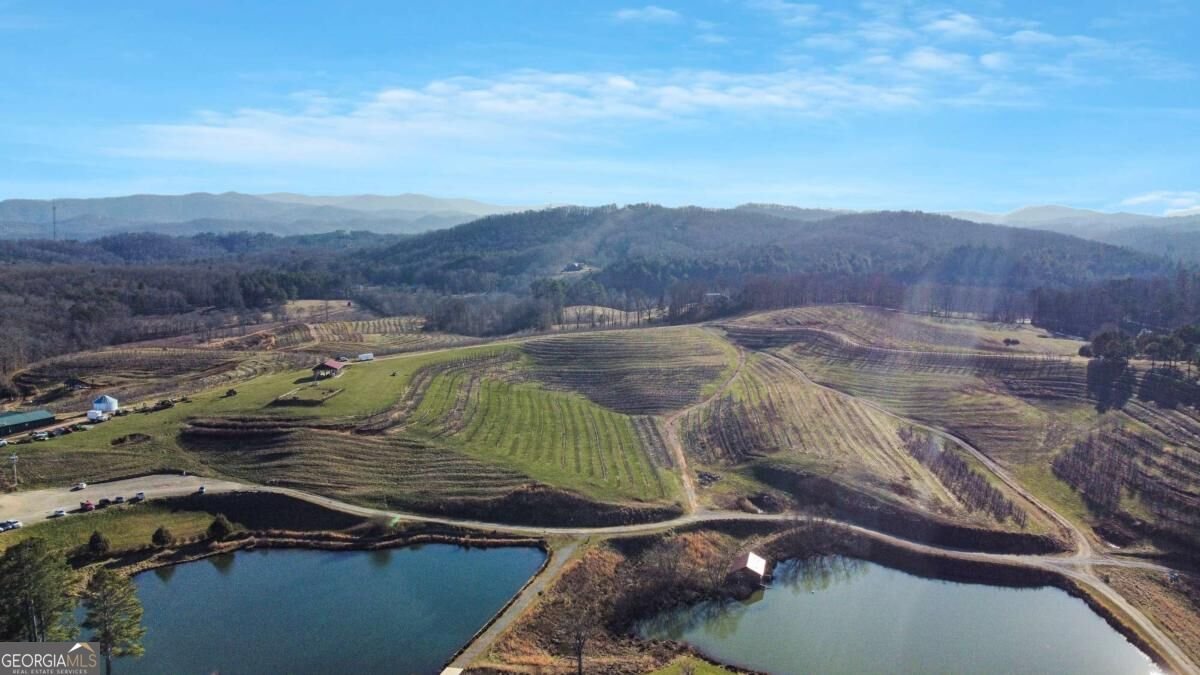 196 Grayson Point Blue Ridge - Photo 9