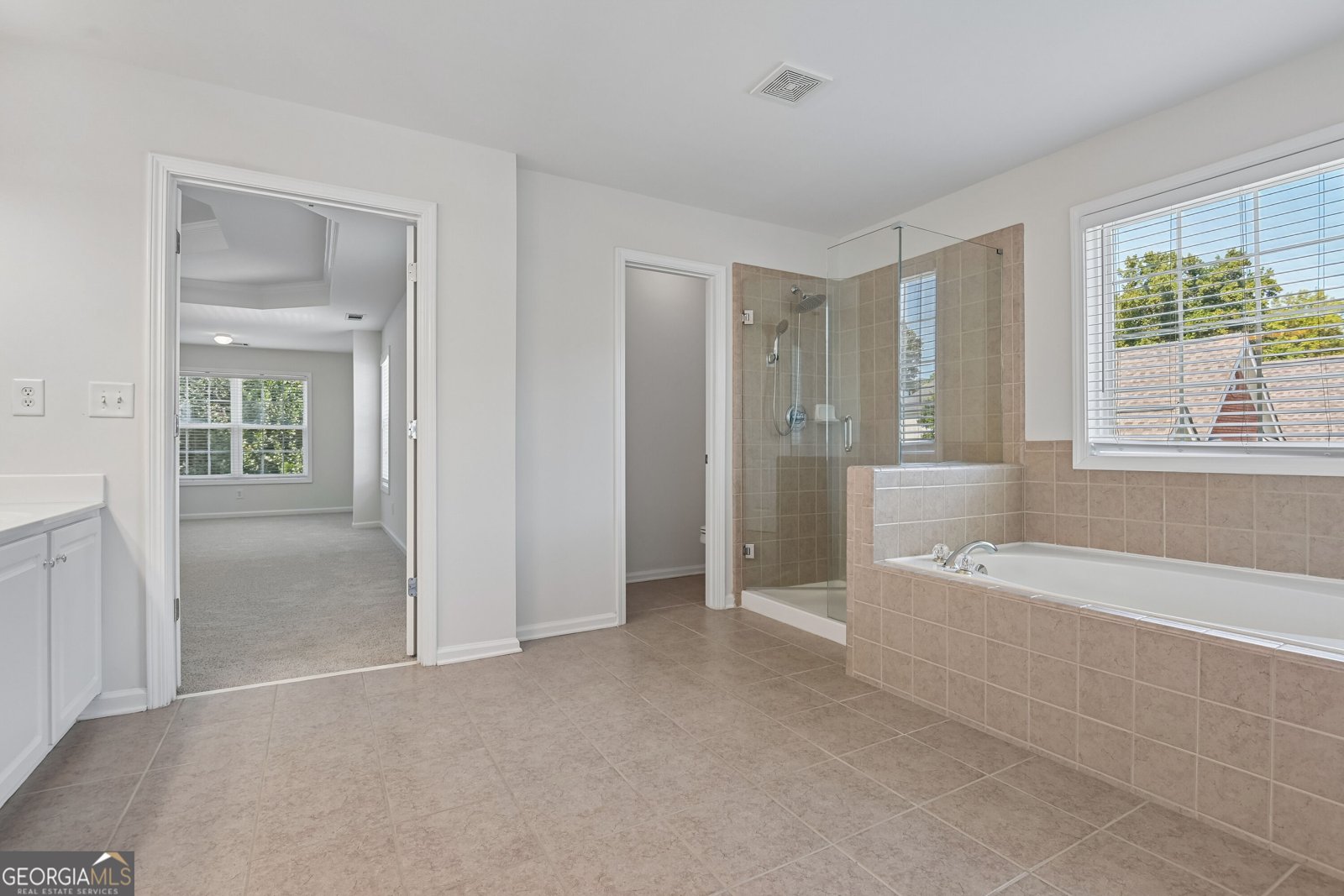 4564 Austin Hills Drive Suwanee - Photo 19