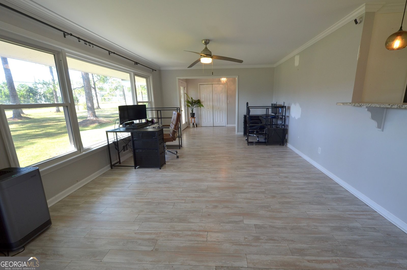 626 Dublin Highway Eastman - Photo 17