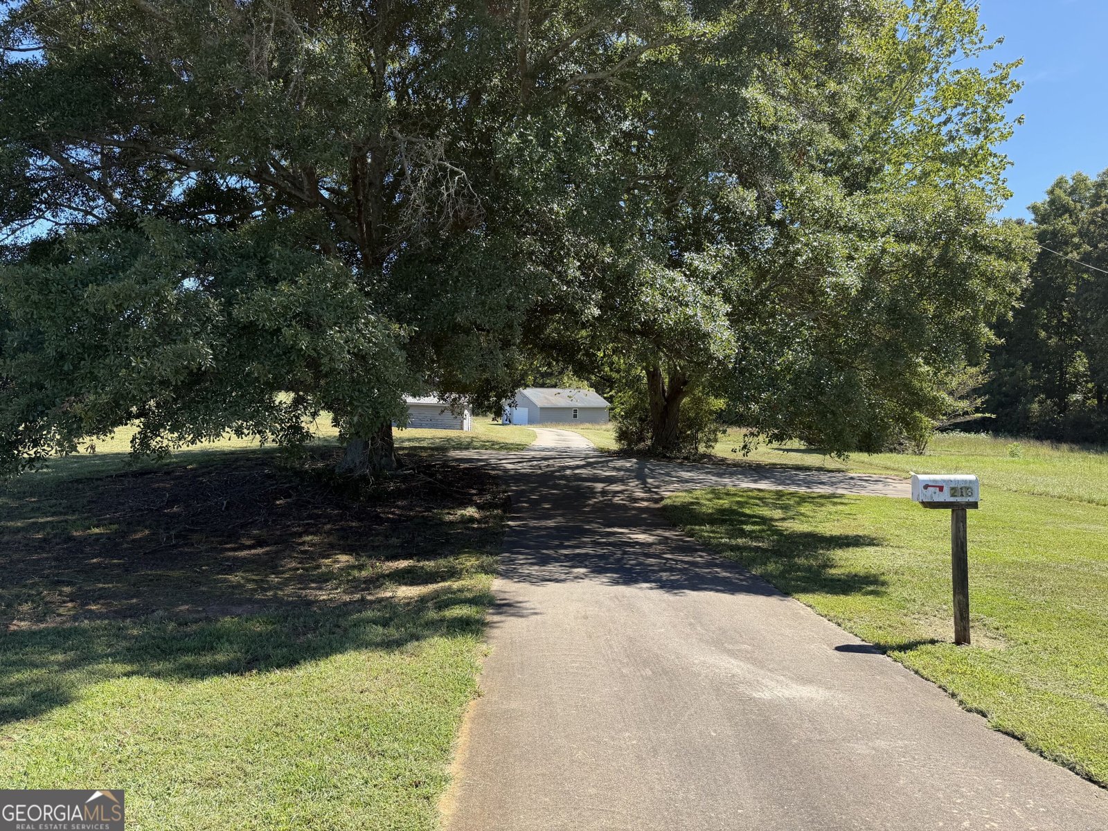 213 Gumlog Road Martin - Photo 51