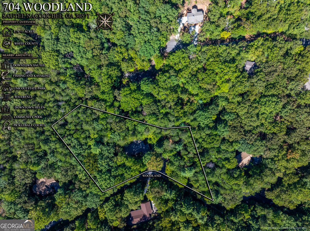 704 Woodland Sautee Nacoochee - Photo 40