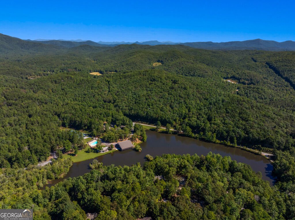 704 Woodland Sautee Nacoochee - Photo 44