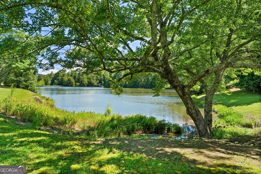 704 Woodland Sautee Nacoochee - Photo 47