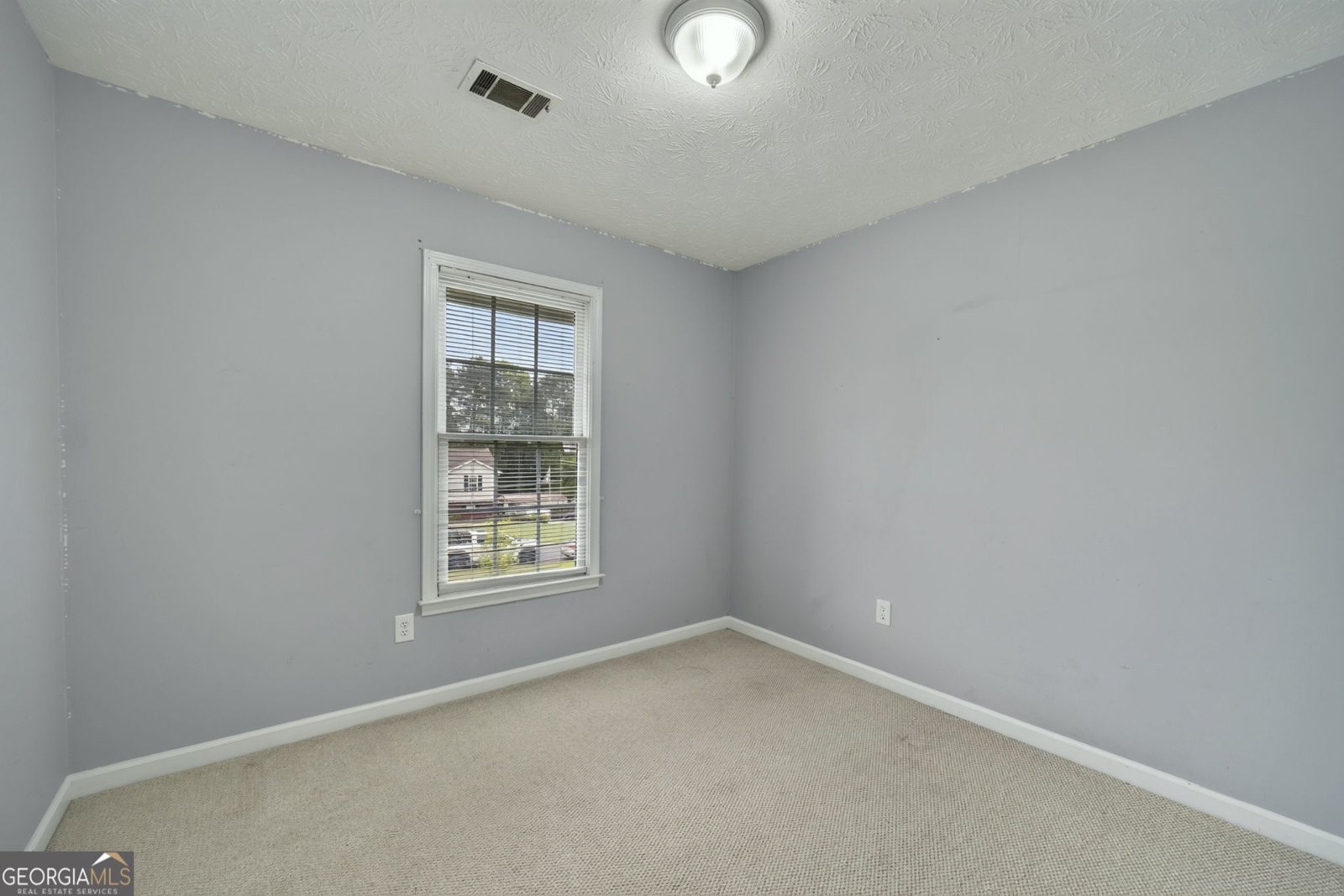 27 Creek View Drive Hoschton - Photo 29
