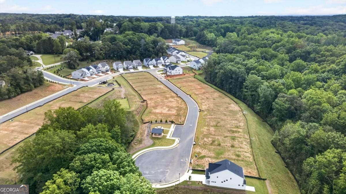 133 Poplar Knoll Dawsonville - Photo 10