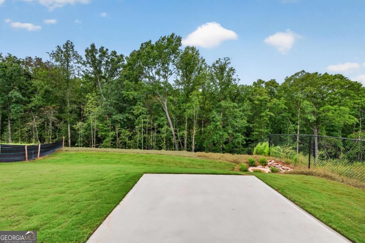 133 Poplar Knoll Dawsonville - Photo 47