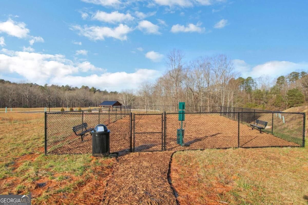 133 Poplar Knoll Dawsonville - Photo 54