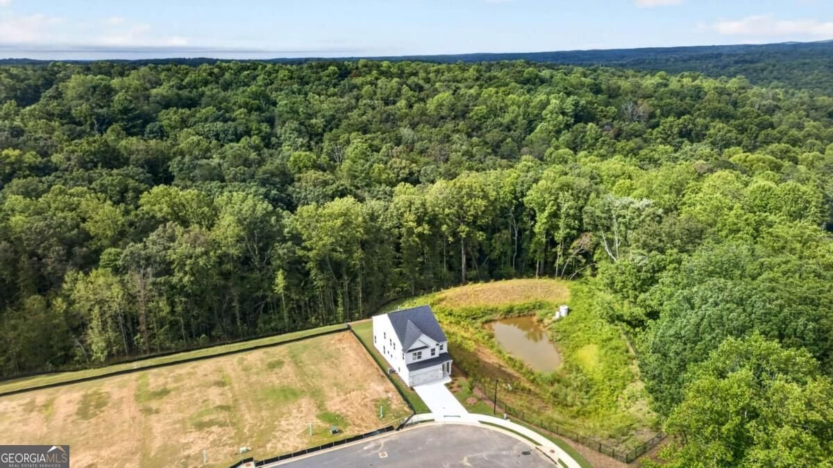 133 Poplar Knoll Dawsonville - Photo 9